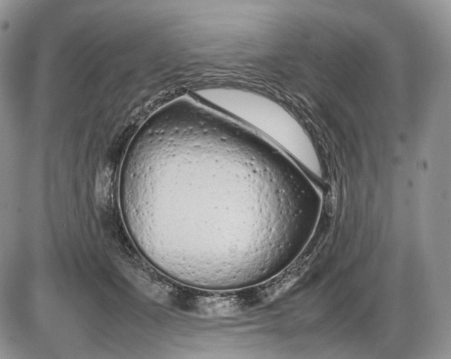 X0000085010511200703191119