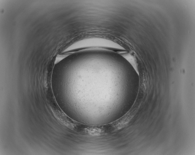 X0000085010512200703191119