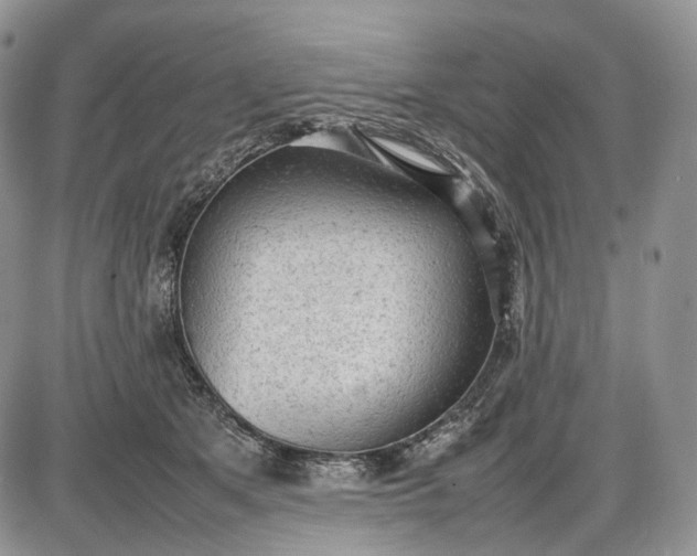 X0000085010513200703191119