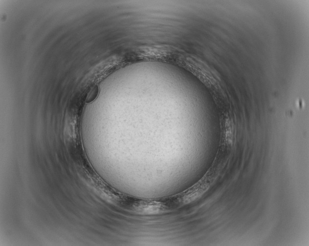 X0000085010514200703191119