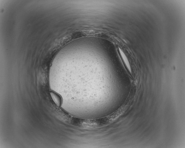X0000085010515200703191119