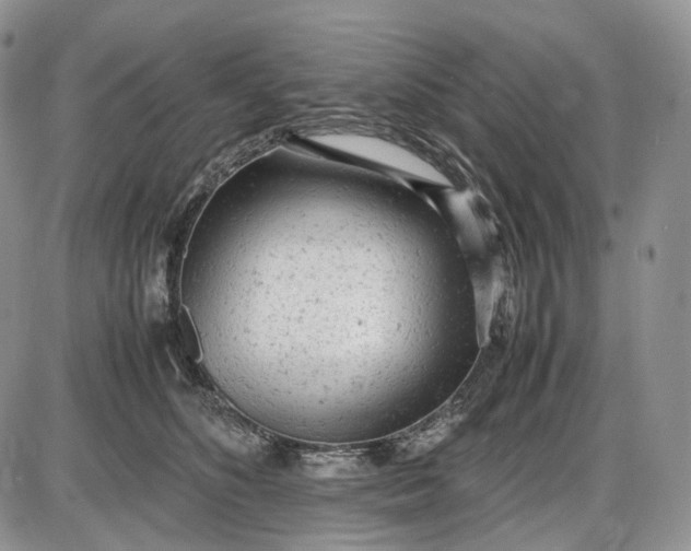 X0000085010516200703191119