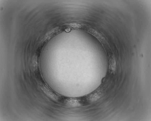 X0000085010518200703191119