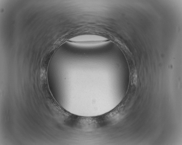 X0000085010521200703191119