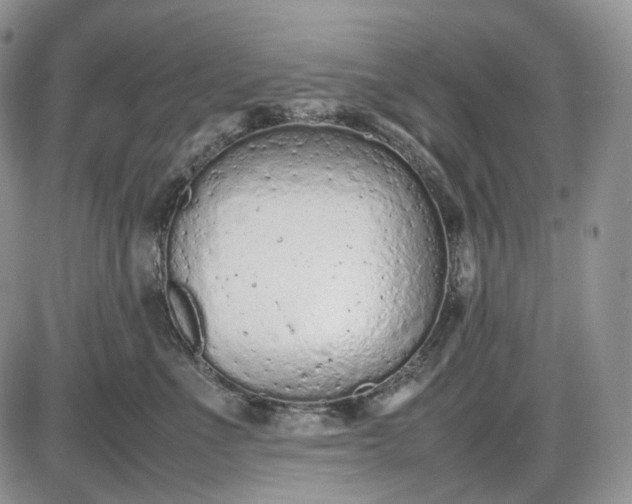 X0000085010523200703191119