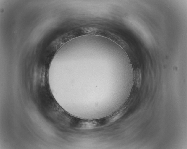 X0000085010525200703191119