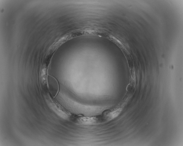 X0000085010526200703191119