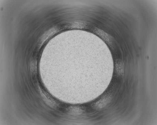 X0000085010534200703191118