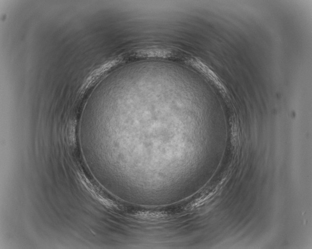 X0000085010537200703191118