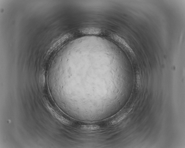 X0000085010541200703191118