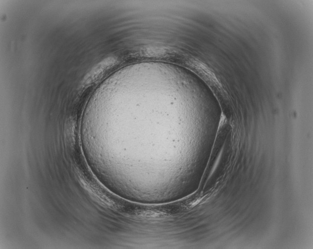 X0000085010542200703191118