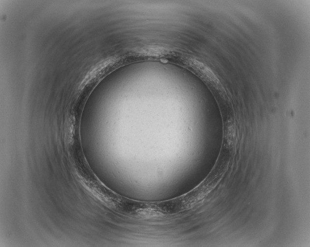X0000085010544200703191118