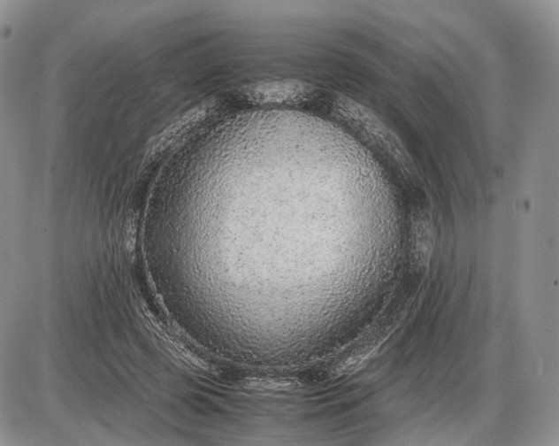 X0000085010545200703191118