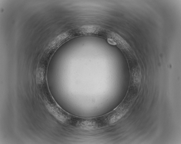 X0000085010546200703191118