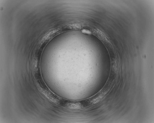X0000085010548200703191118