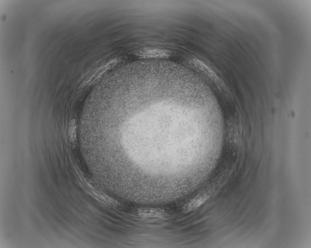 X0000085010549200703191118