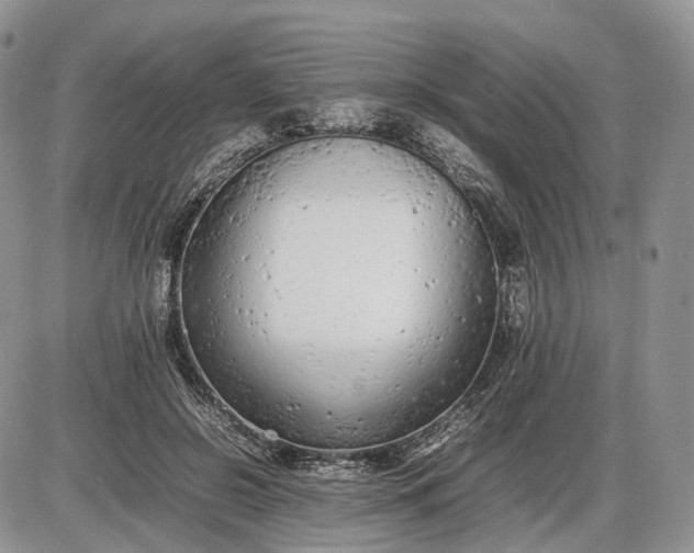 X0000085010550200703191118