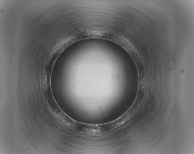 X0000085010552200703191118