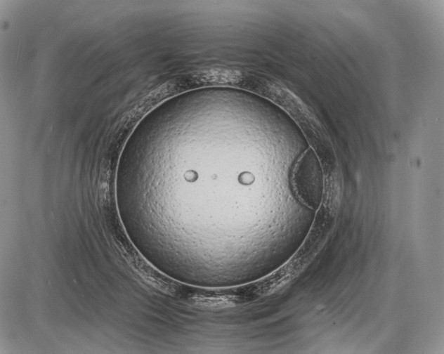 X0000085010553200703191118