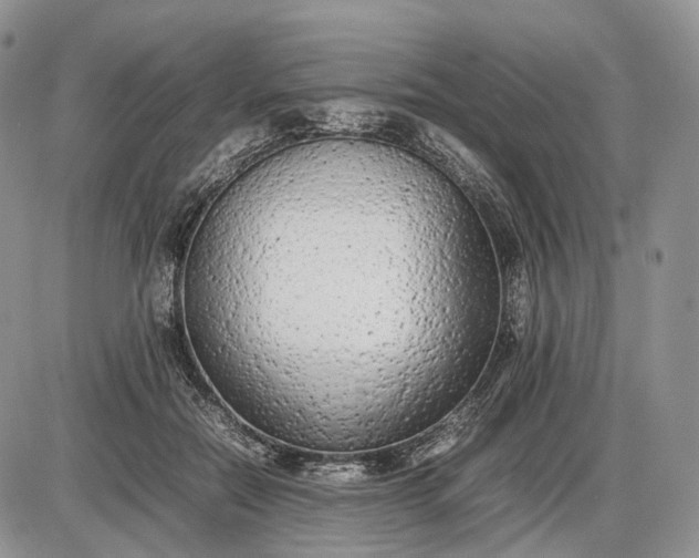 X0000085010554200703191118