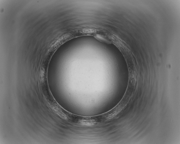 X0000085010556200703191118