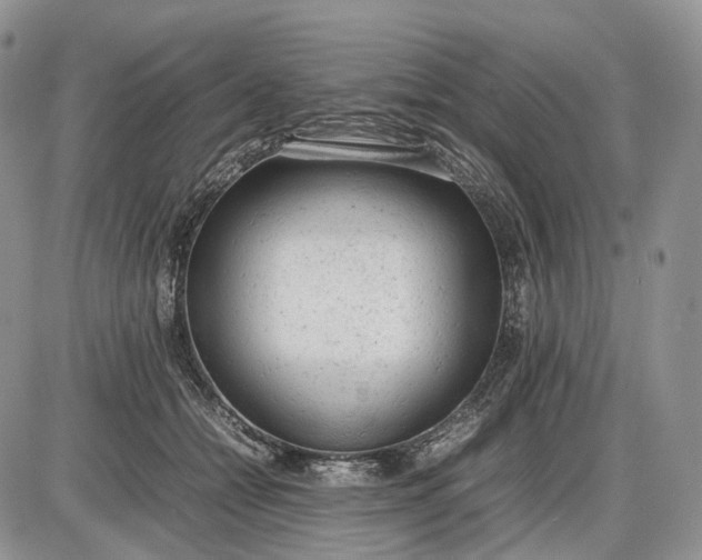 X0000085010558200703191118