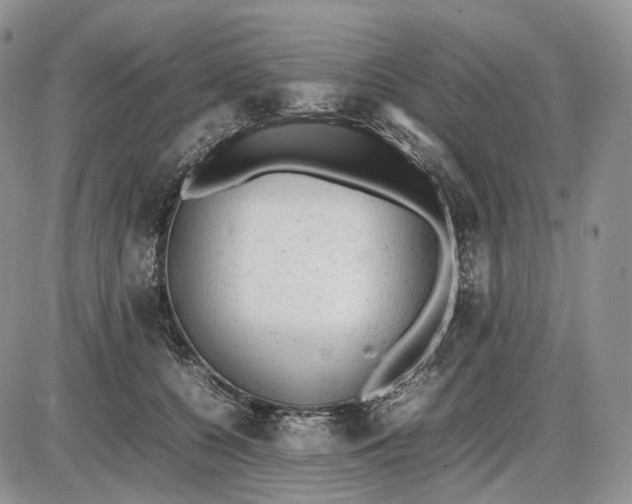 X0000085010560200703191118