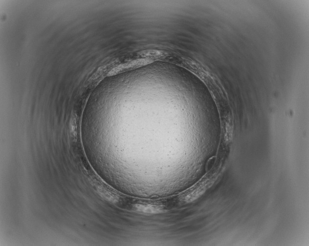 X0000085010561200703191118