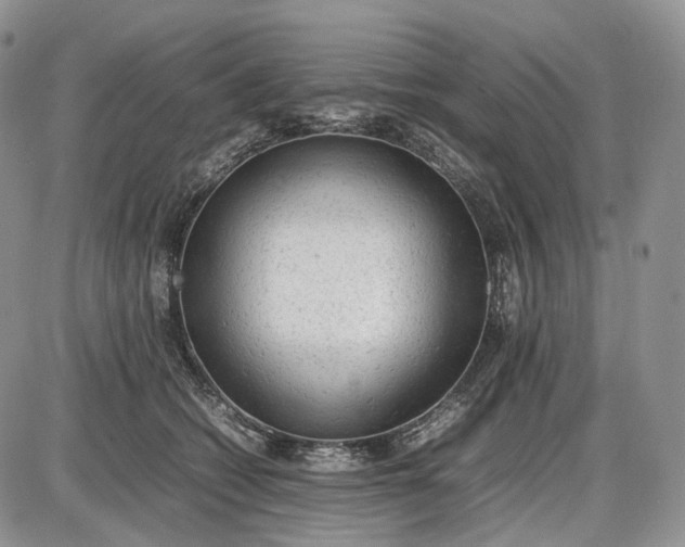 X0000085010562200703191118