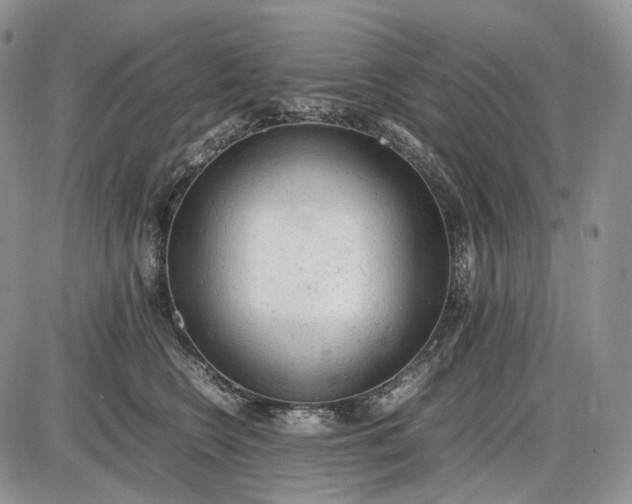 X0000085010566200703191118
