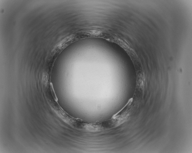 X0000085010568200703191118