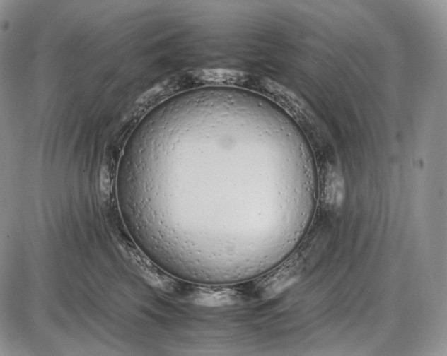 X0000085010569200703191118