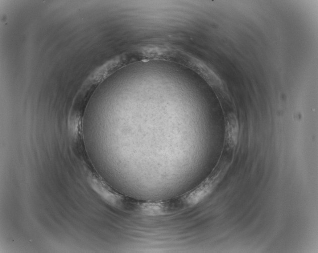 X0000085010574200703191118