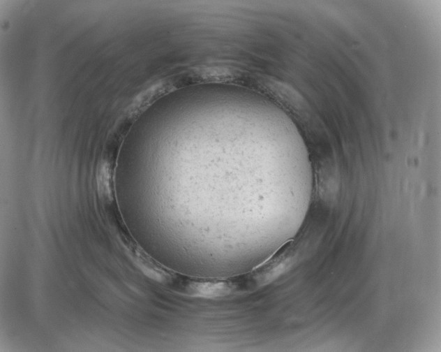 X0000085010575200703191118