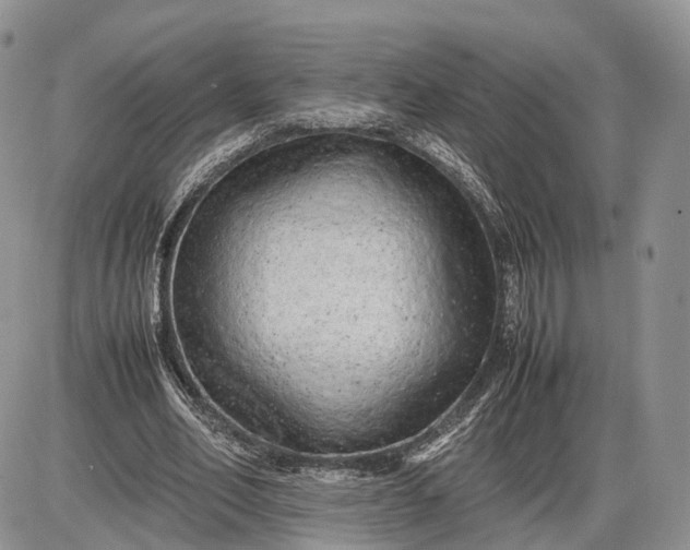 X0000085010582200703191118