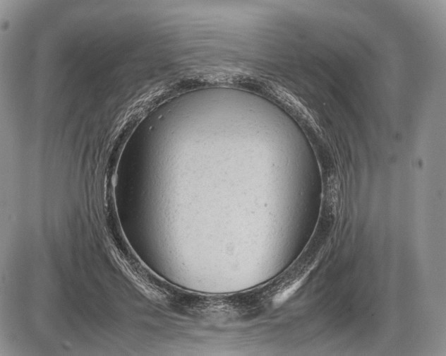 X0000085010589200703191117