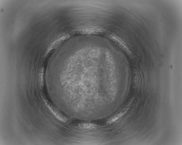 X0000085010590200703191117