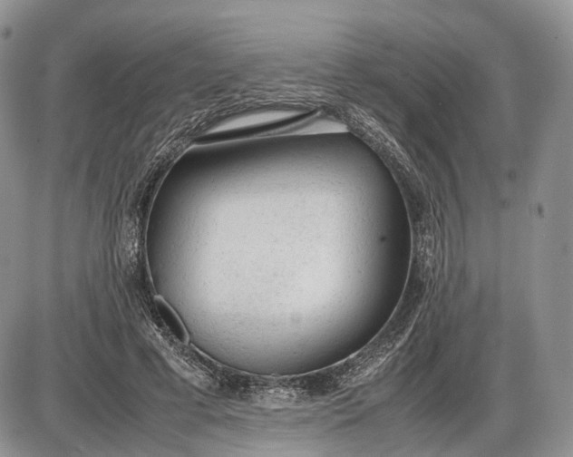 X0000085010593200703191117