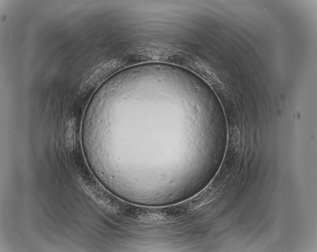 X0000085010594200703191117