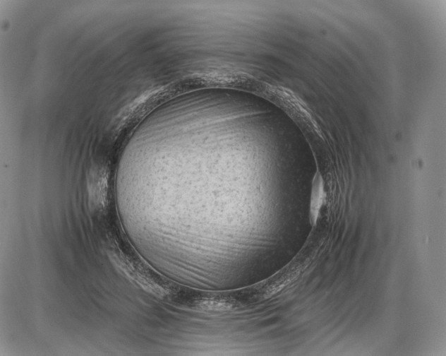 X0000085010596200703191117