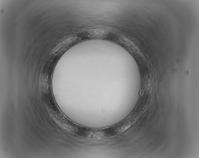 X0000085010599200703191117
