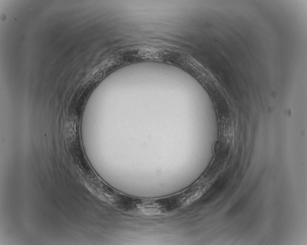 X0000085010603200703191117