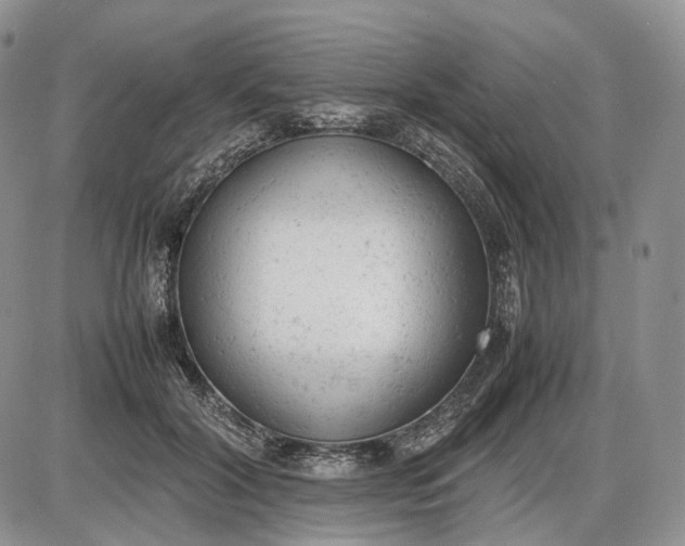 X0000085010604200703191117