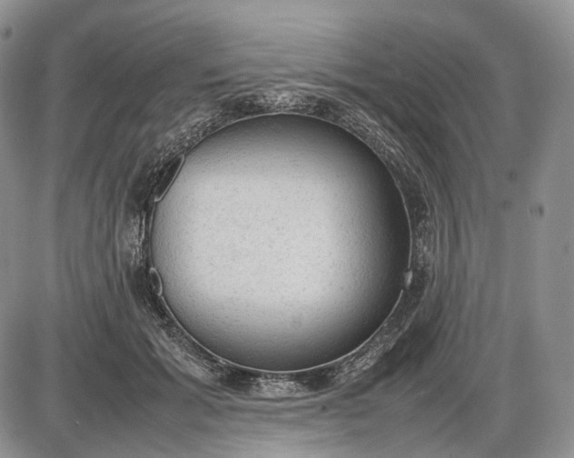 X0000085010605200703191117