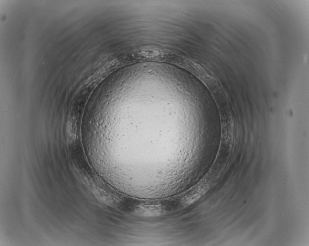 X0000085010606200703191117