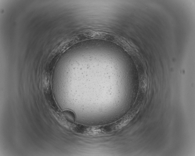 X0000085010607200703191117