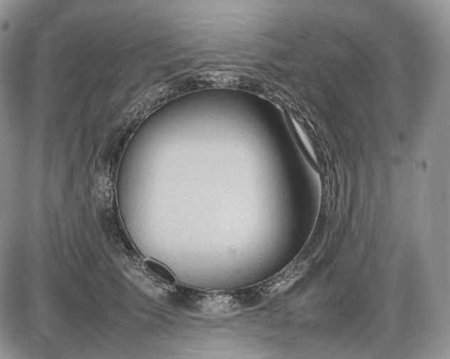 X0000085010609200703191117