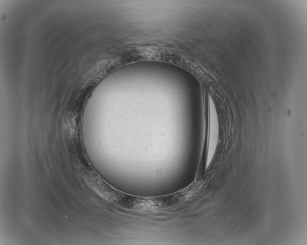 X0000085010611200703191117