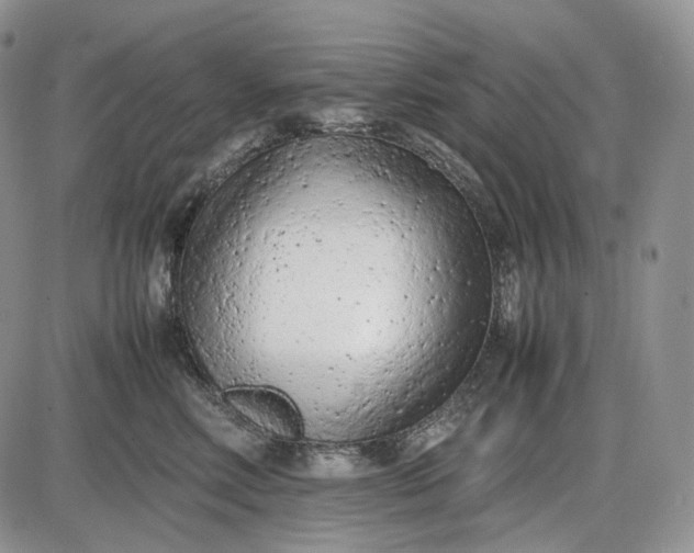 X0000085010618200703191117