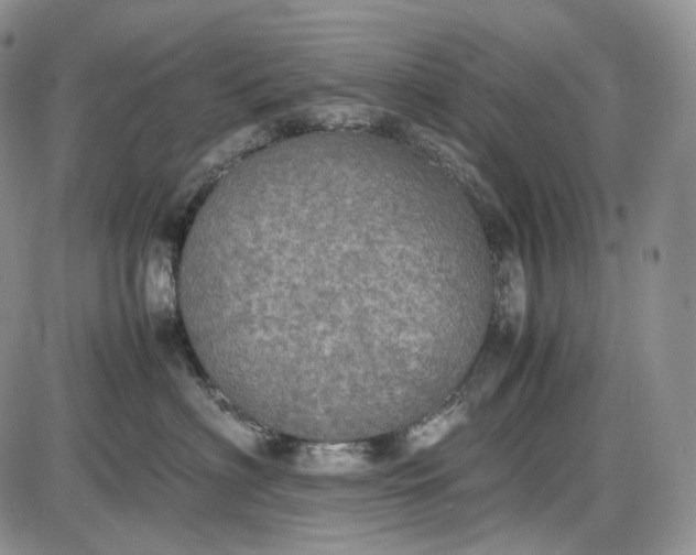 X0000085010622200703191117